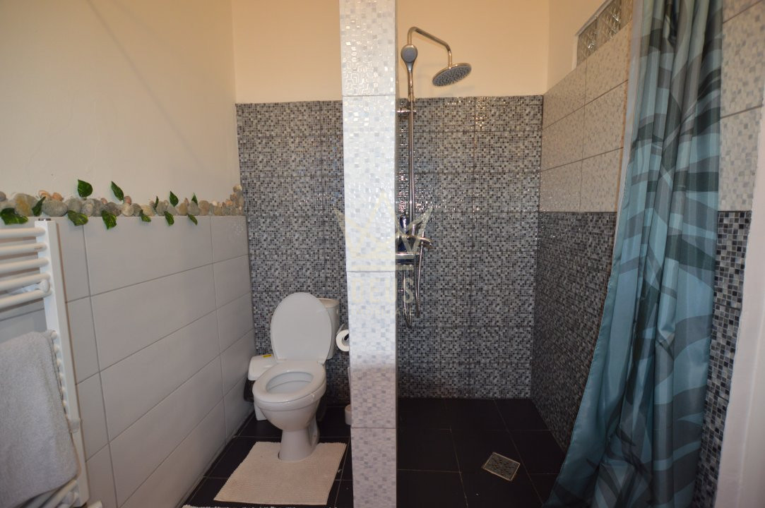 Casa cu afacere la cheie de inchiriat in Gruia, PET FRIENDLY!