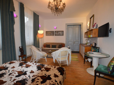 Casa cu afacere la cheie de inchiriat in Gruia, PET FRIENDLY!