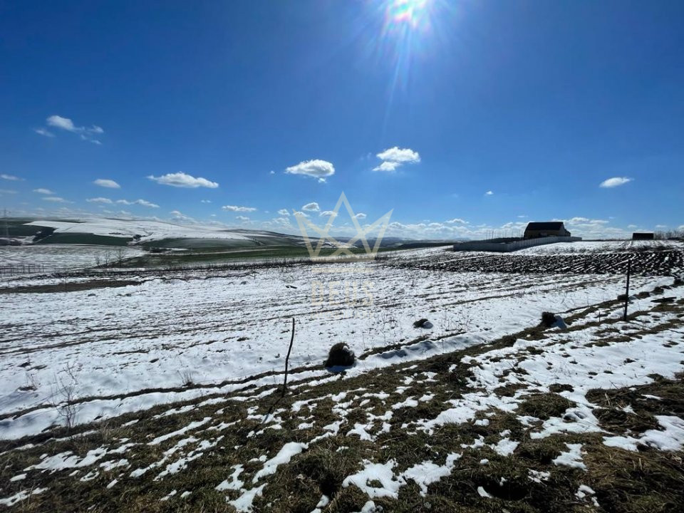 Teren intravilan spre vanzare intr-o zona linistita!