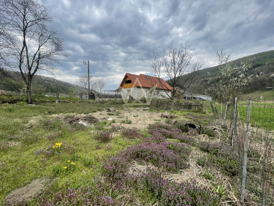 Casa de vanzare cu gradina !