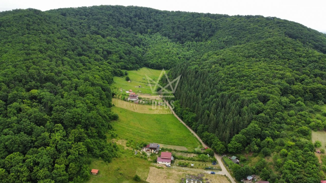  Teren intravilan pentru constructie casa,  langa padure!