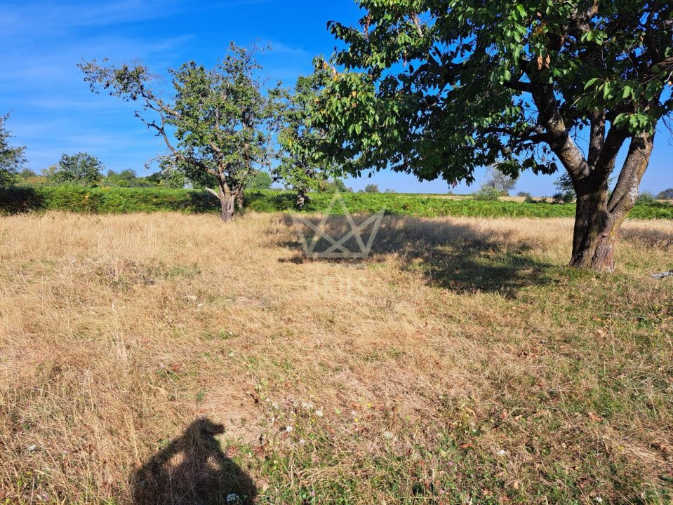 Teren intabulat,  in zona superba, cu uilitiatile la parcela!