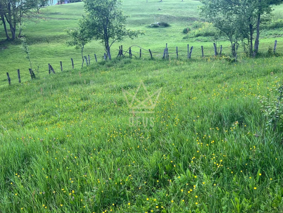 Teren intravilan cu priveliste pentru constructie casa!