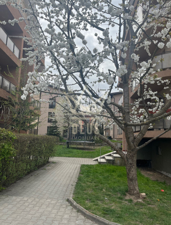 Apartament pet friendly (se accepta catei) in Manastur