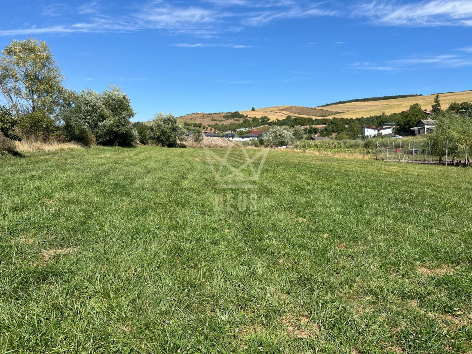 Teren intravilan pentru constructie casa in Pata!