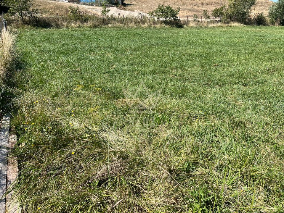 Teren intravilan pentru constructie casa in Pata!