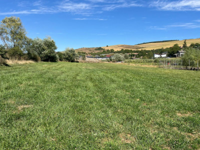Teren intravilan pentru constructie casa in Pata!